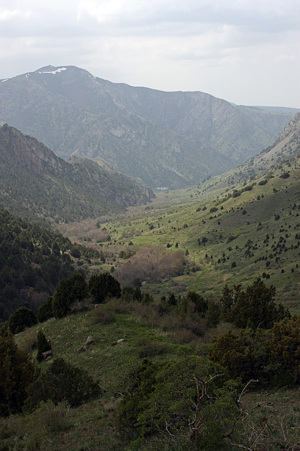 Сазаната, изображение ландшафта.