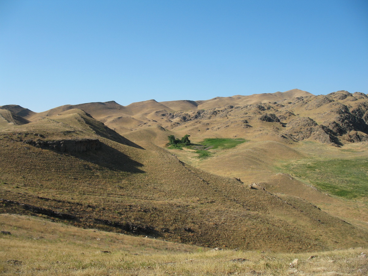 Родник Карабастау, image of landscape/habitat.