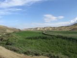 Долина реки Камышчай, image of landscape/habitat.