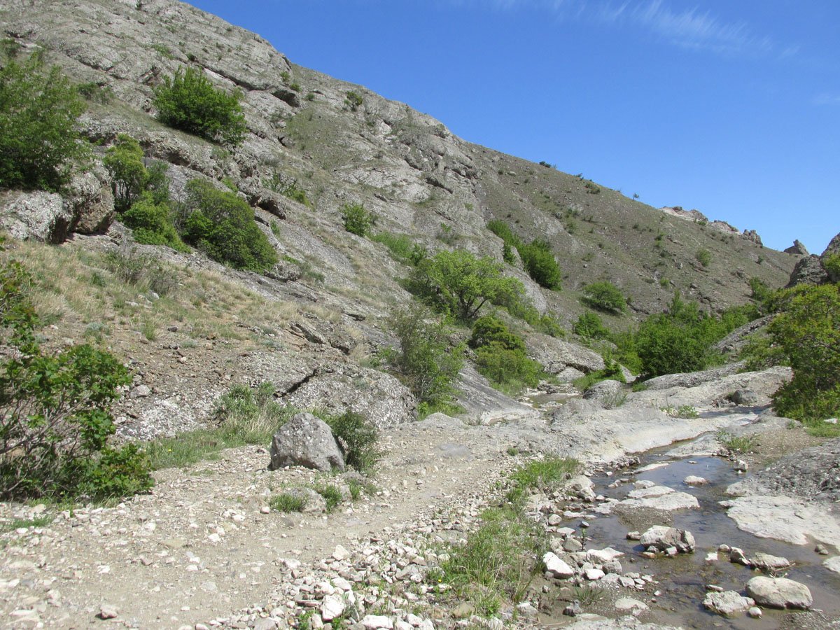 Ущелье реки Пананьян-Узень, image of landscape/habitat.