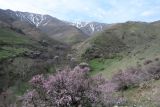 Landscape image
