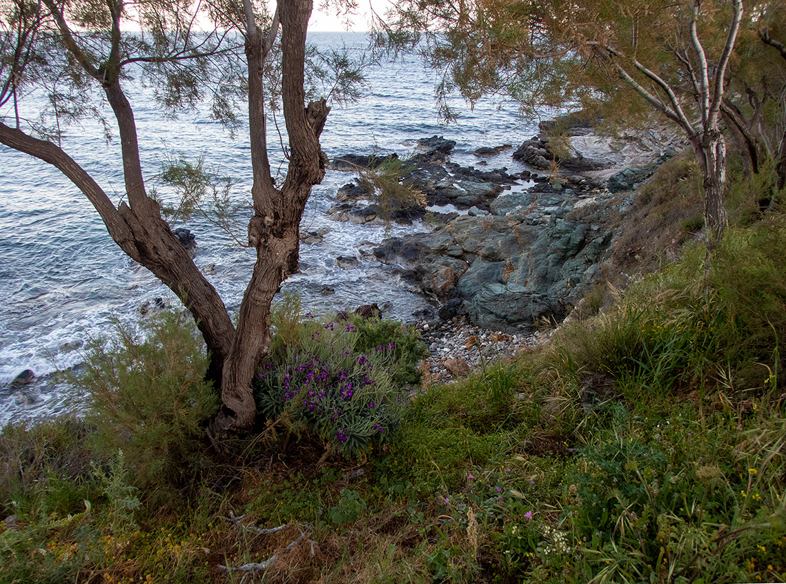 Остров Сирос, image of landscape/habitat.