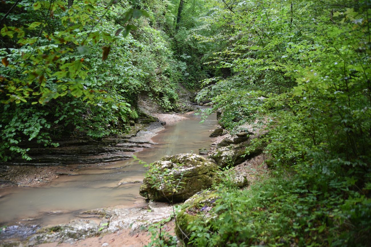 Девичья Коса, image of landscape/habitat.