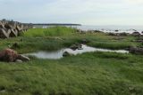 Image of landscape