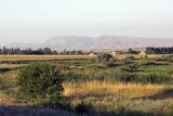 Image of landscape