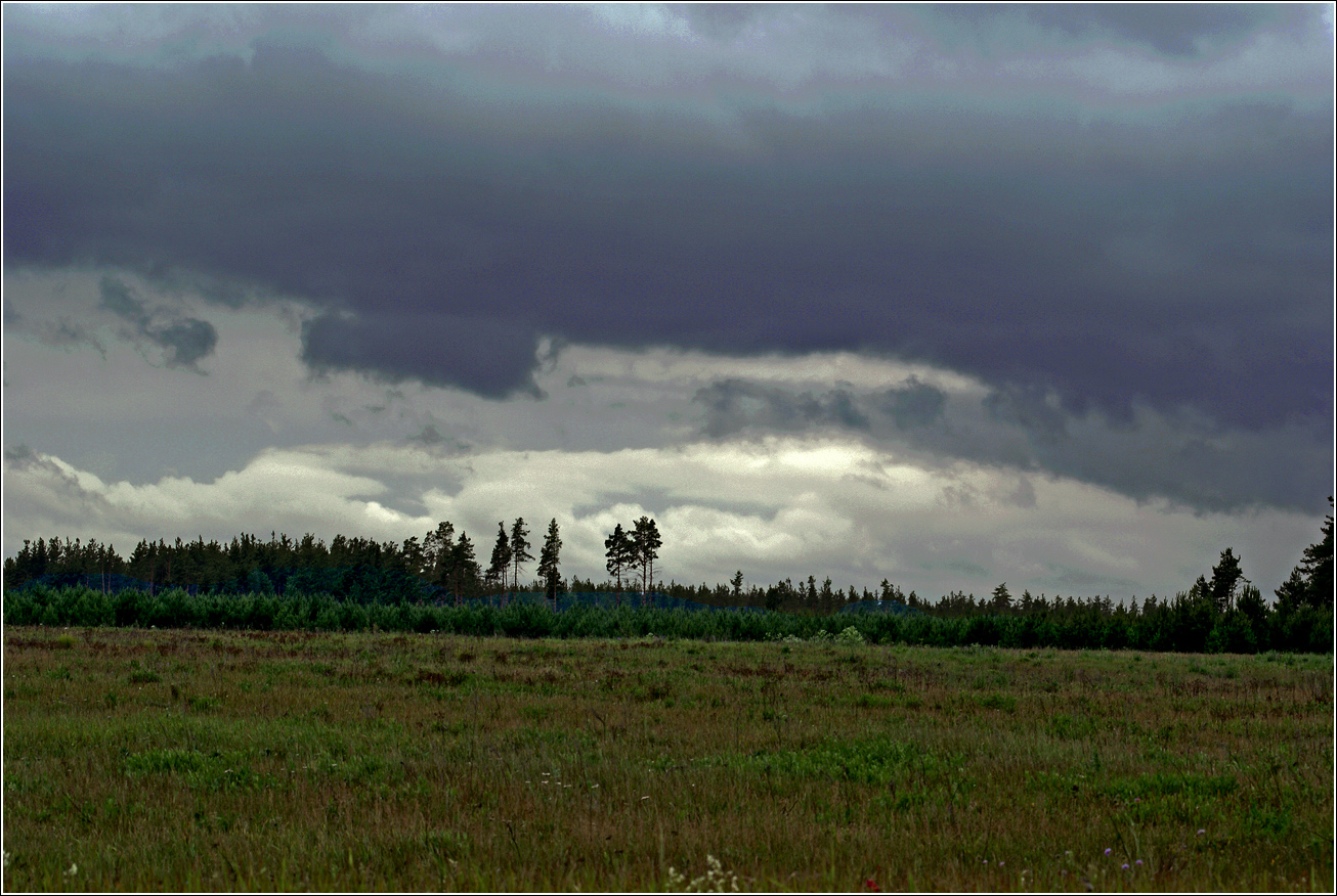 Лесничество «Красный Маяк», image of landscape/habitat.