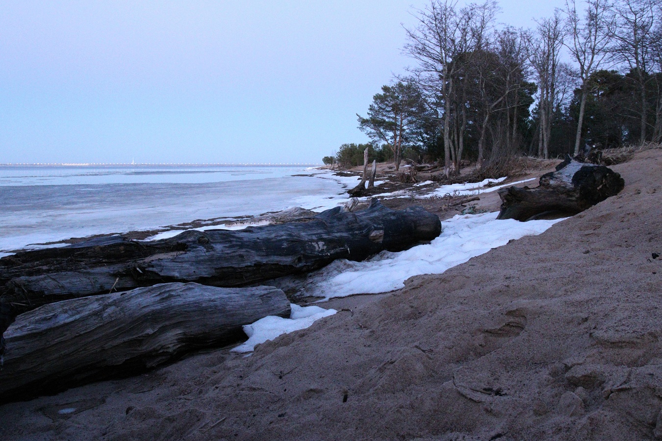 Большая Ижора, image of landscape/habitat.