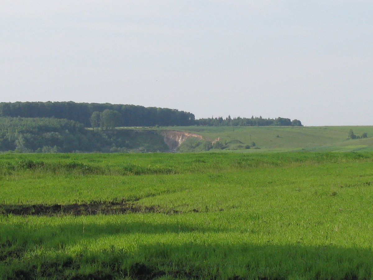 Почаев и его окрестности, image of landscape/habitat.