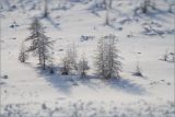 Бурхалинский перевал, image of landscape/habitat.