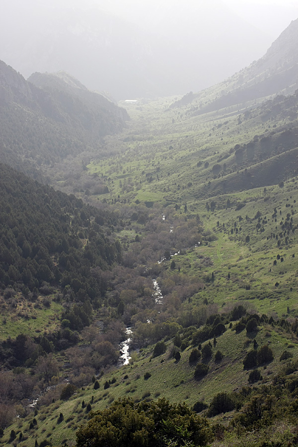 Сазаната, image of landscape/habitat.