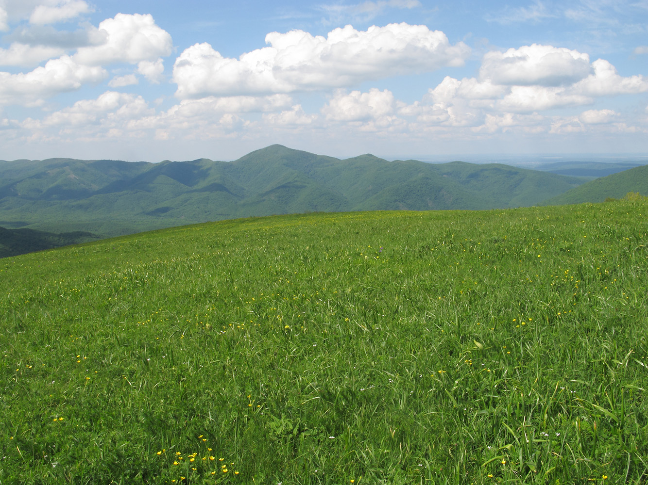 Гора Солдатская, image of landscape/habitat.