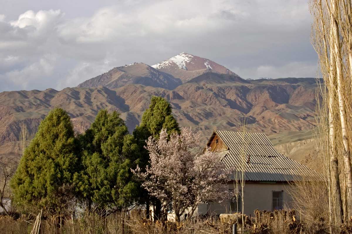 Окрестности села Кызыл-Ой, image of landscape/habitat.