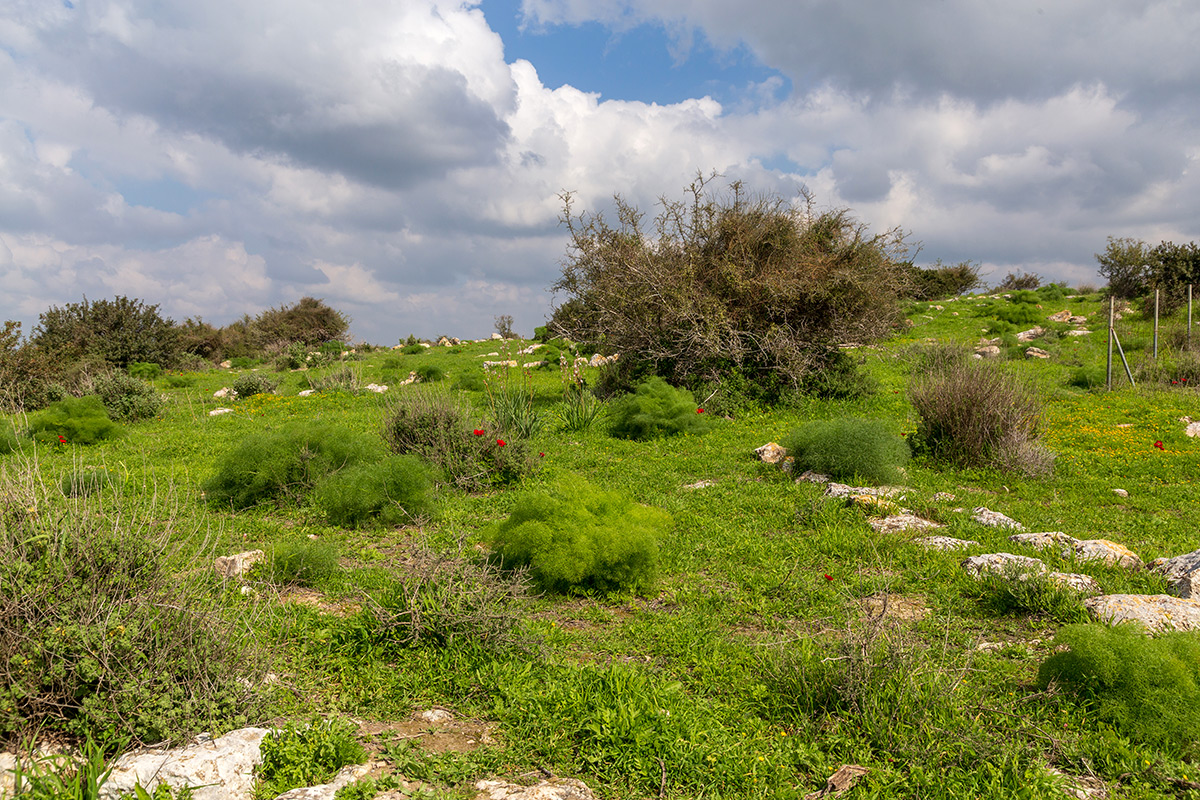 Мареша, image of landscape/habitat.