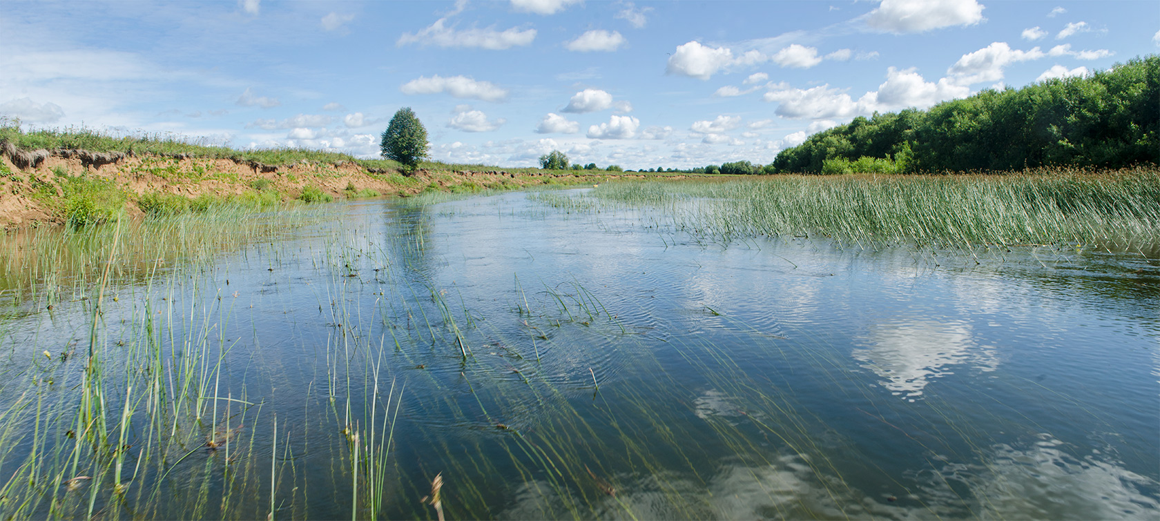 Окрестности Порубово, image of landscape/habitat.