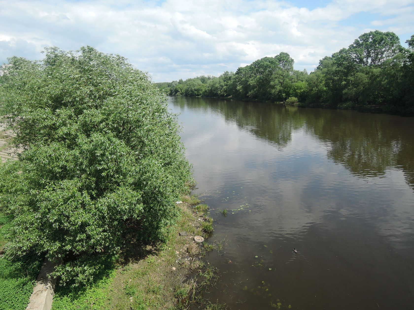Орехово-Зуево и окрестности, image of landscape/habitat.