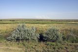 Image of landscape