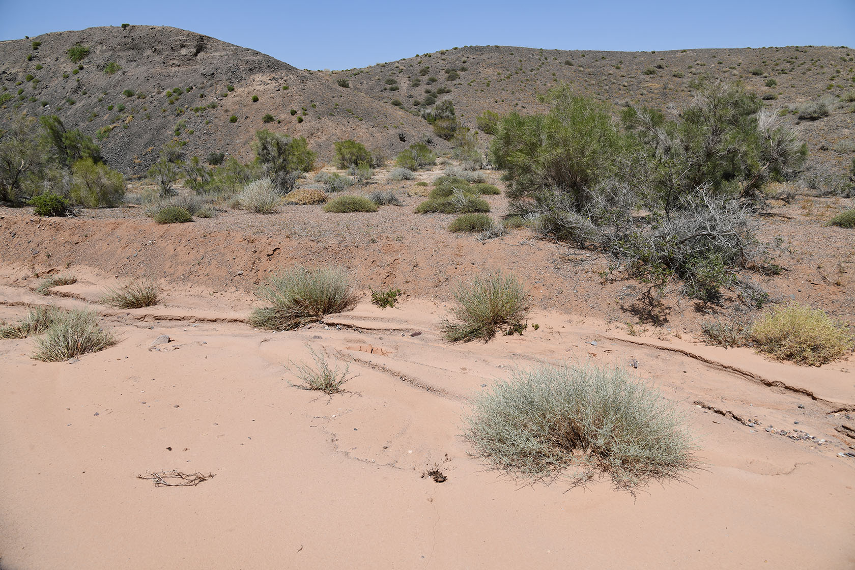 Бала-Богуты, image of landscape/habitat.