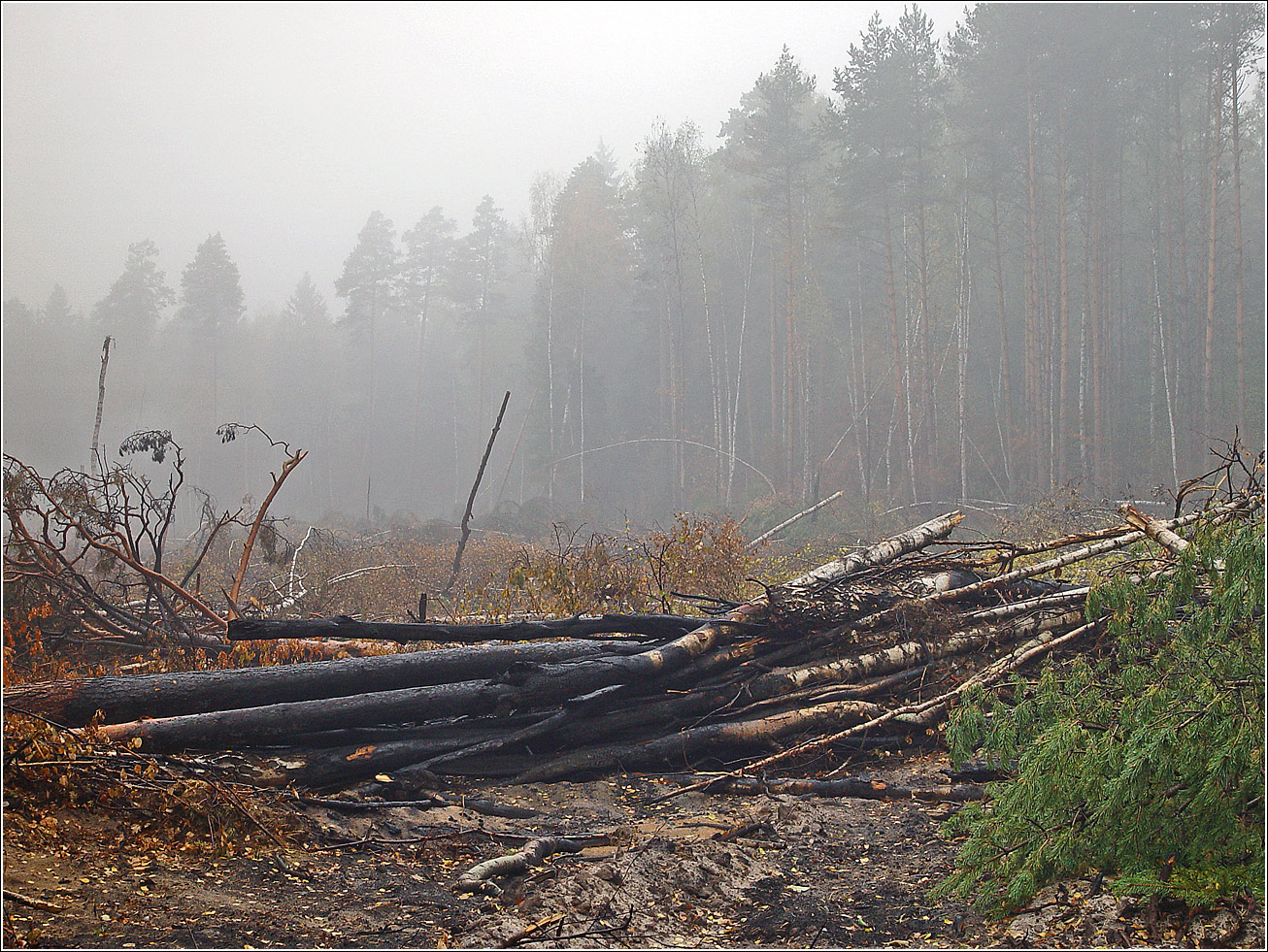 Окрестности Хрипани, image of landscape/habitat.