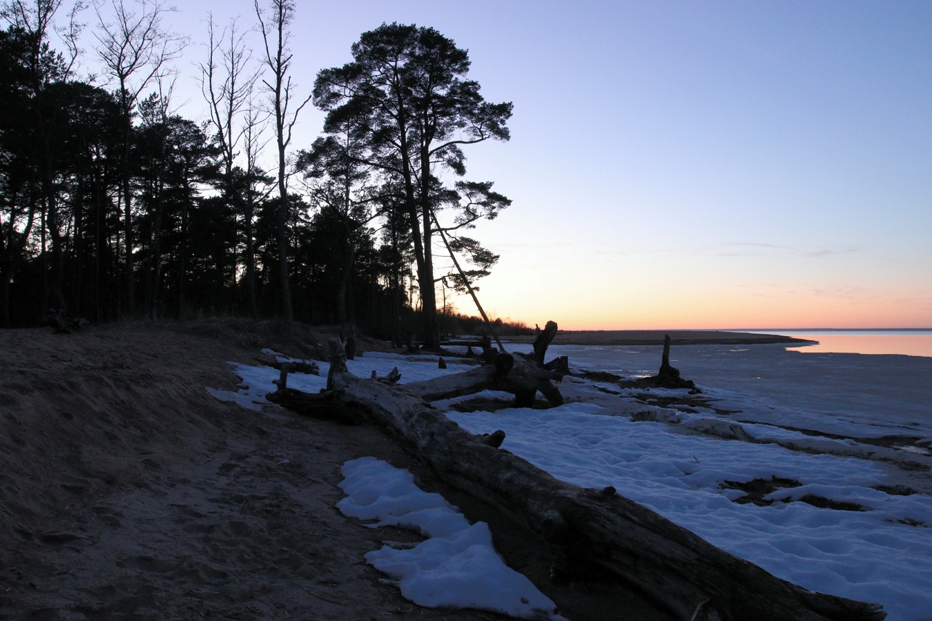 Большая Ижора, image of landscape/habitat.