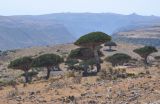 Image of landscape