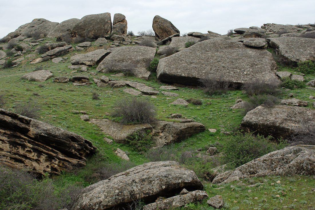 Гобустан, image of landscape/habitat.