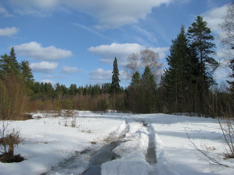 Алёшино, image of landscape/habitat.