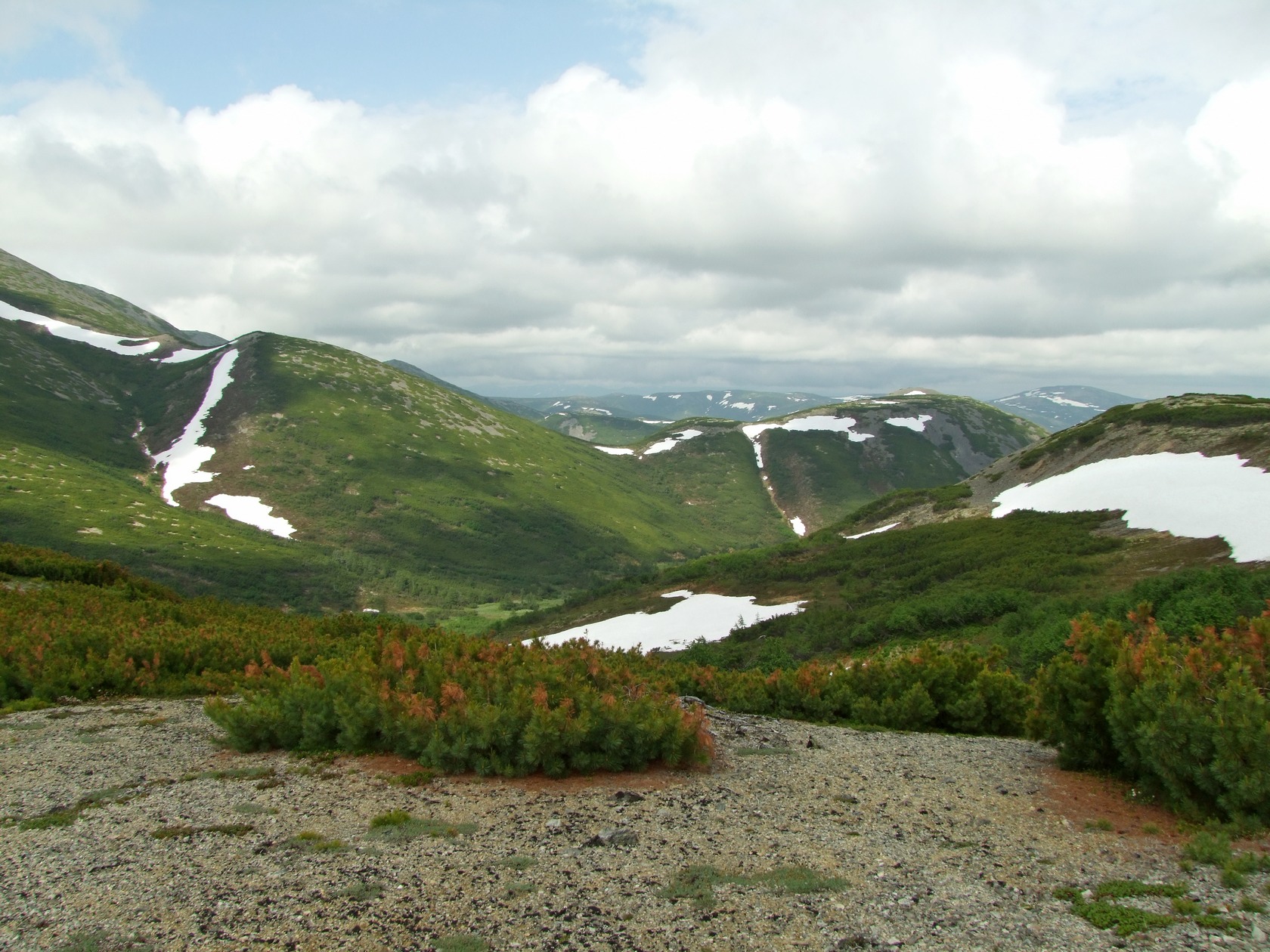 Водораздел Дукчи и Омчика, image of landscape/habitat.