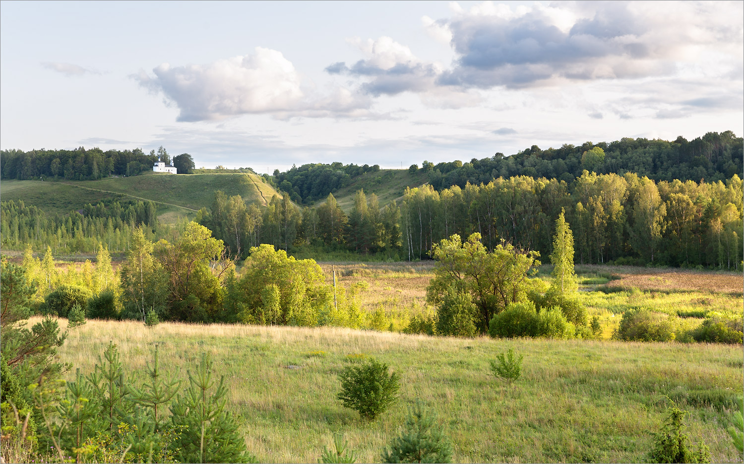 Изборско-Мальская долина, image of landscape/habitat.