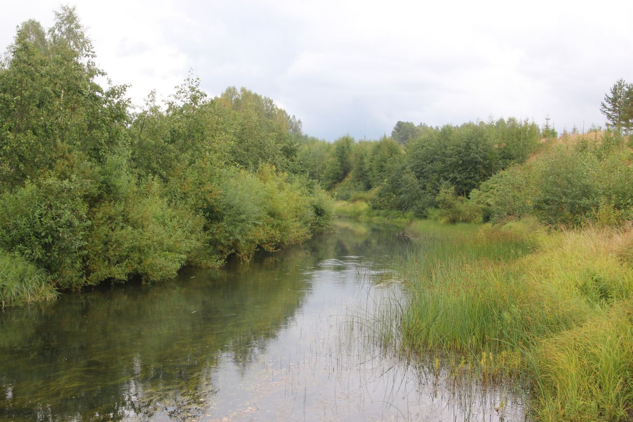 Бассейн реки Княжая, image of landscape/habitat.