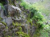 Landscape image