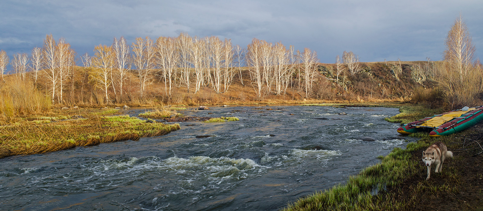 Окрестности Каменки, image of landscape/habitat.