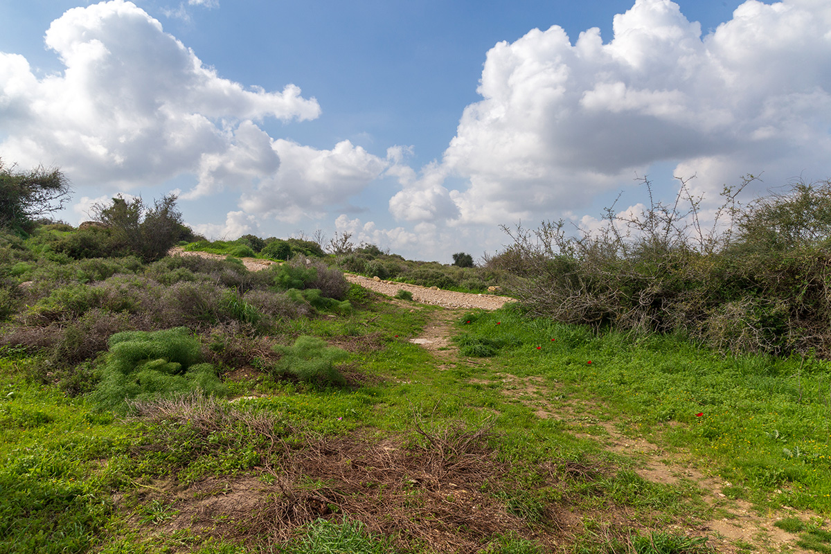 Мареша, image of landscape/habitat.