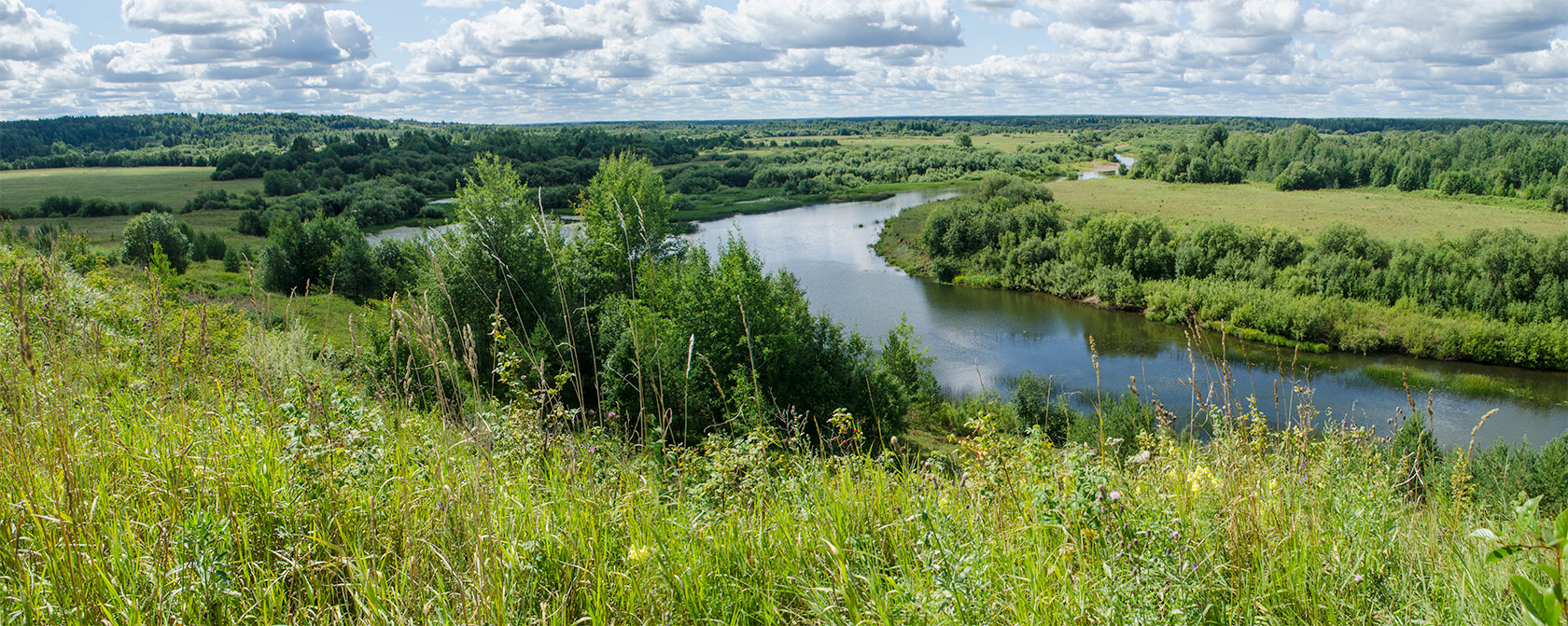 Окрестности Порубово, image of landscape/habitat.