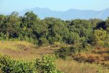 Image of landscape