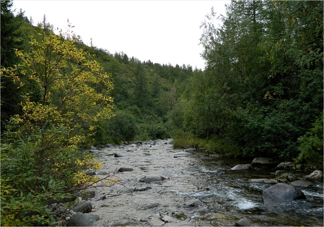 Сенька-Шор, image of landscape/habitat.