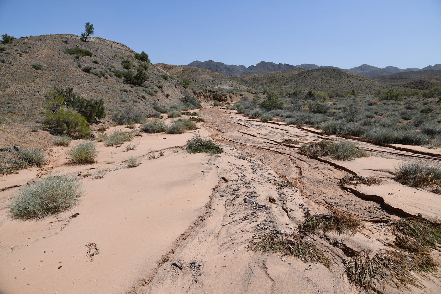 Бала-Богуты, image of landscape/habitat.