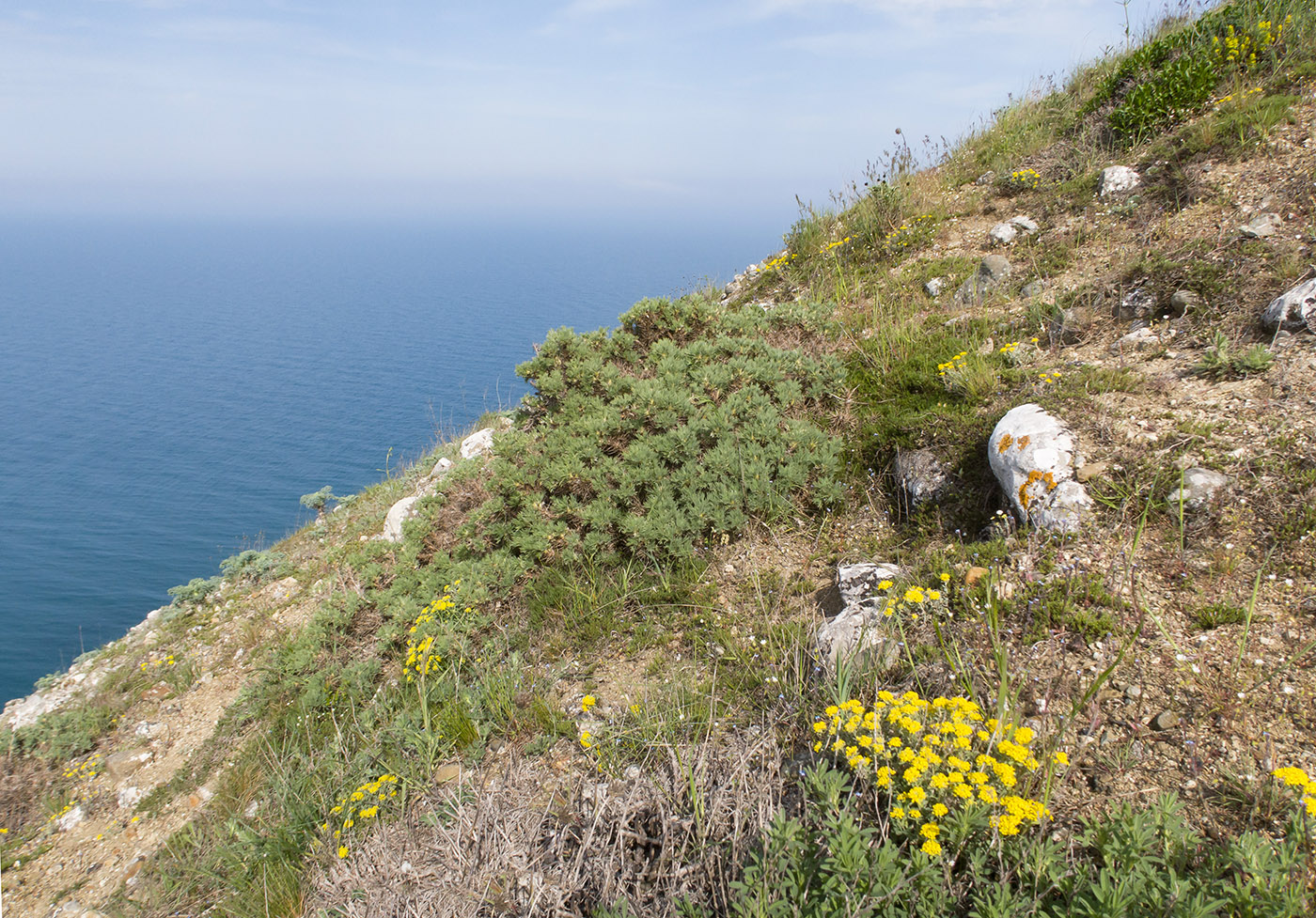 Гора Батон, image of landscape/habitat.