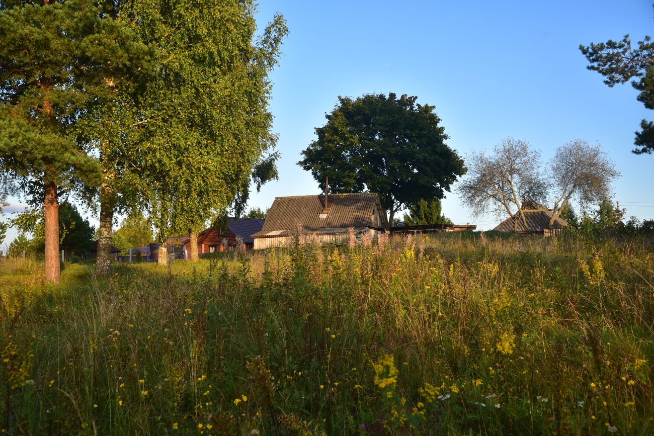 Савино и окрестности, image of landscape/habitat.