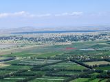 Голанские высоты, image of landscape/habitat.