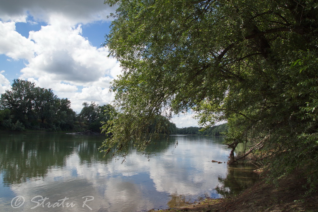 Река Днестр, с. Слободзея-Дужка, image of landscape/habitat.