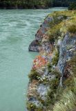 Image of landscape