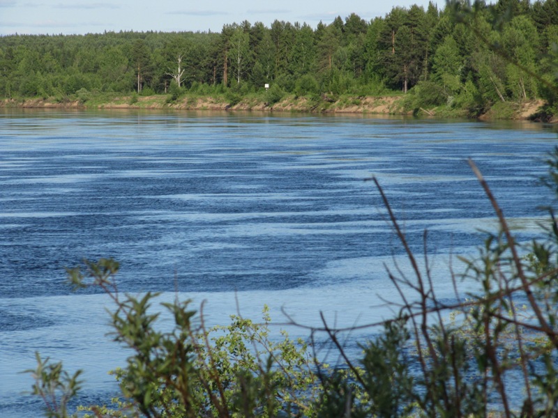 Алёшино, image of landscape/habitat.