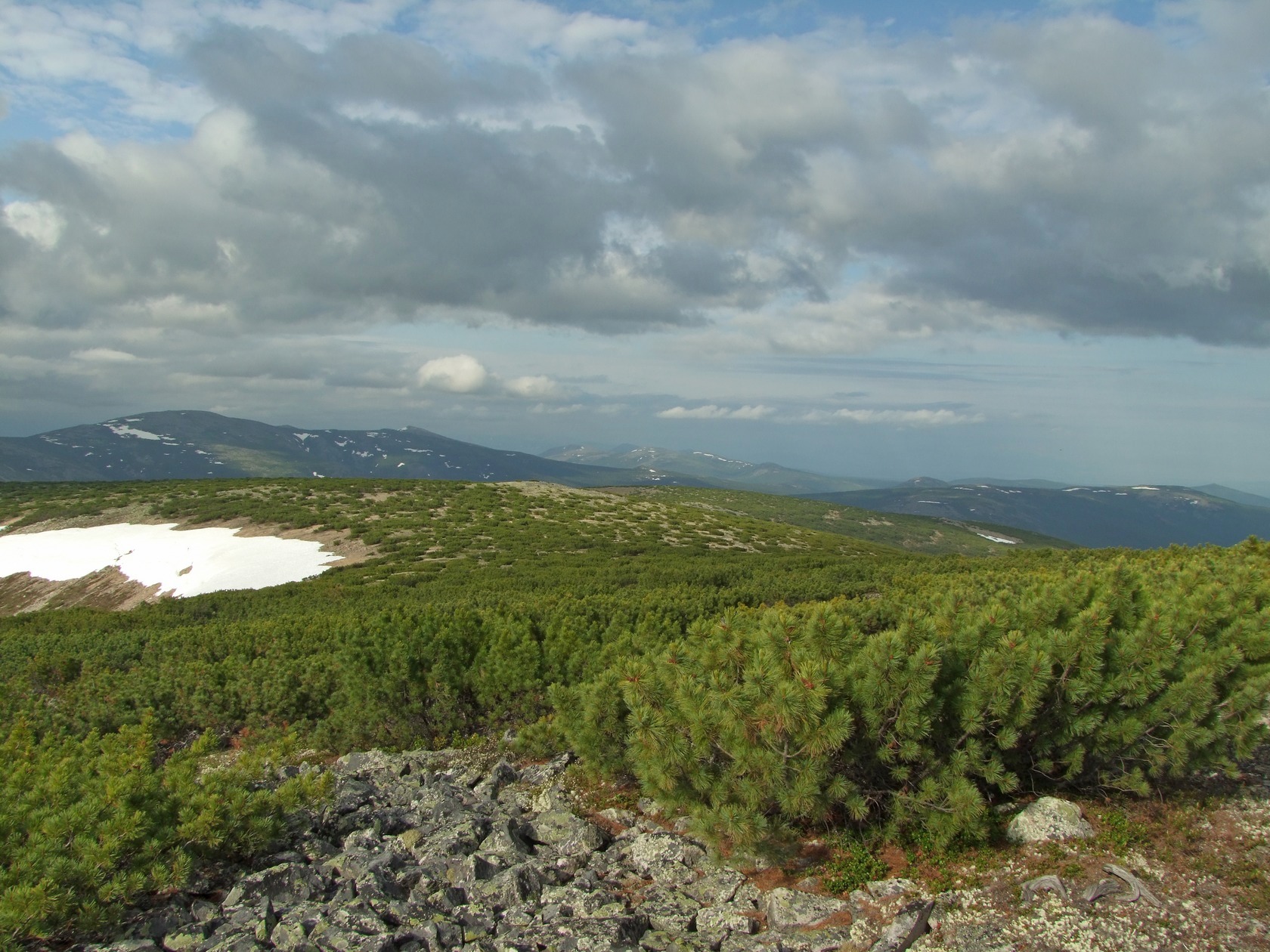 Водораздел Дукчи и Омчика, image of landscape/habitat.