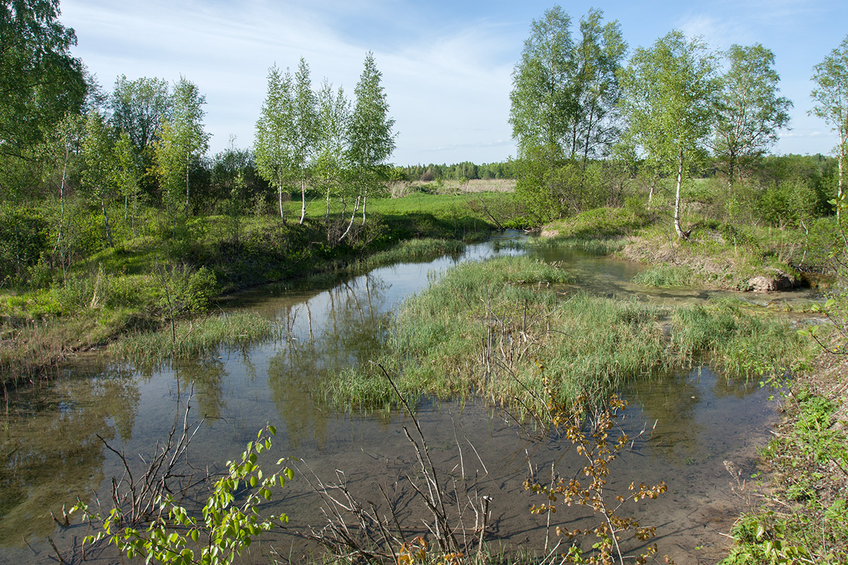 Истоки Шингарки, image of landscape/habitat.