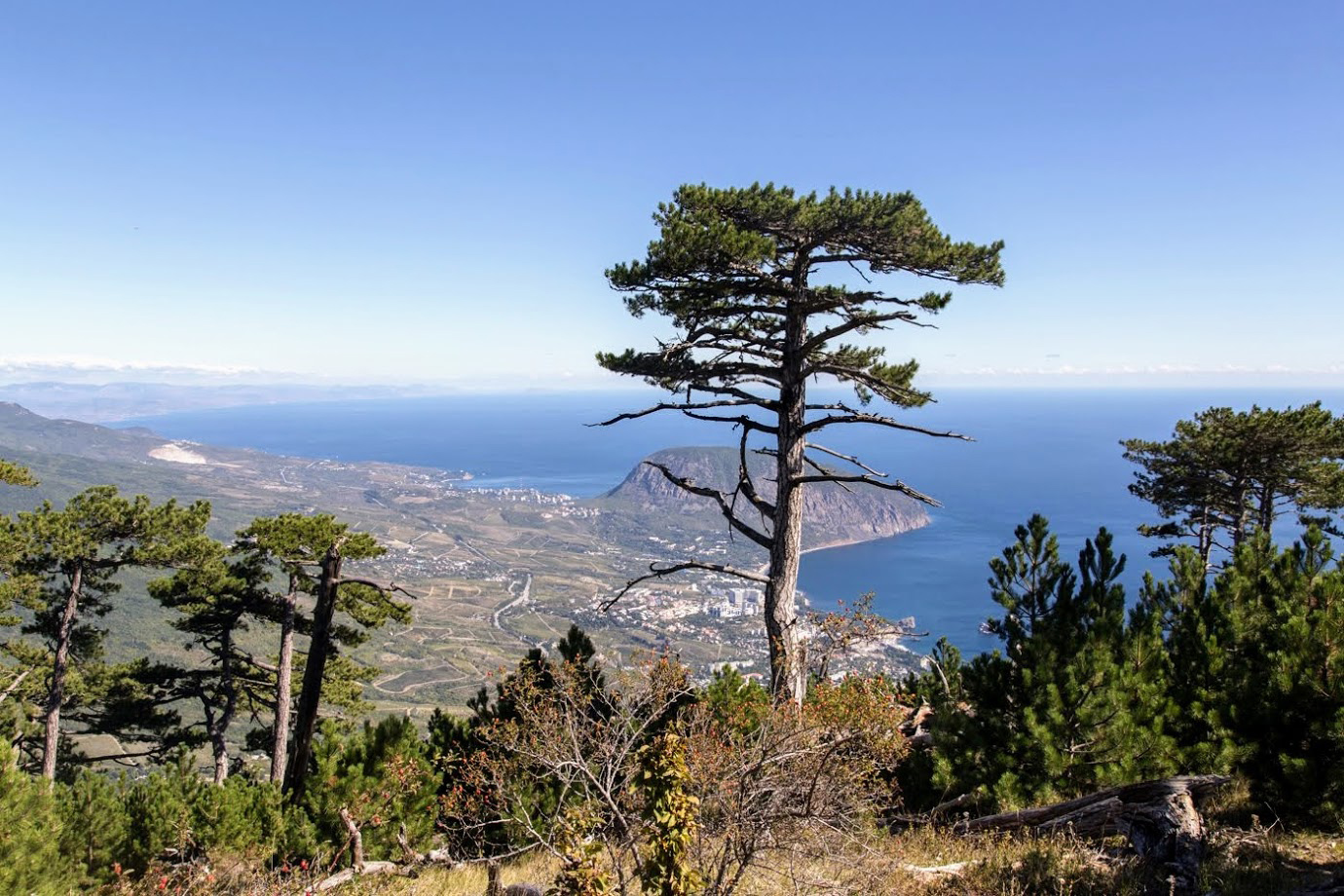 Ай-Илья-Сырым, image of landscape/habitat.