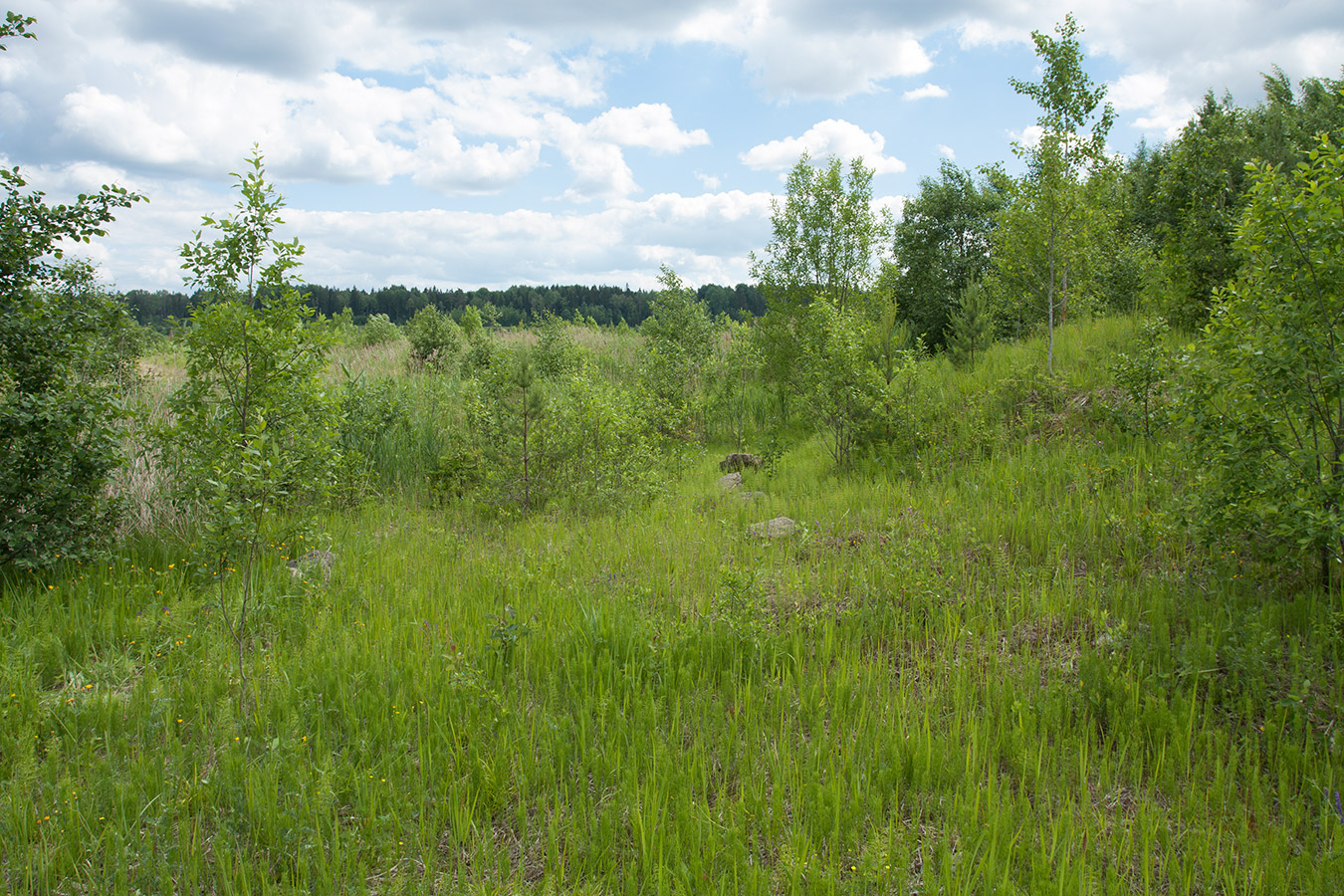 Елизаветинский карьер, image of landscape/habitat.