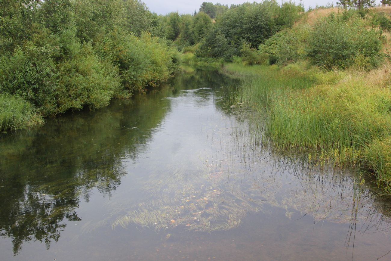 Бассейн реки Княжая, image of landscape/habitat.