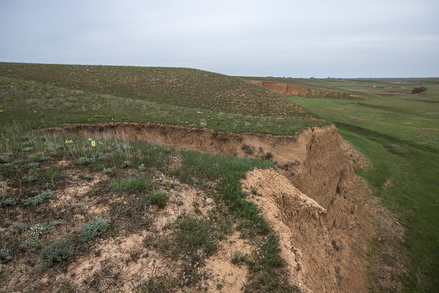 Окрестности села Троицкое, image of landscape/habitat.