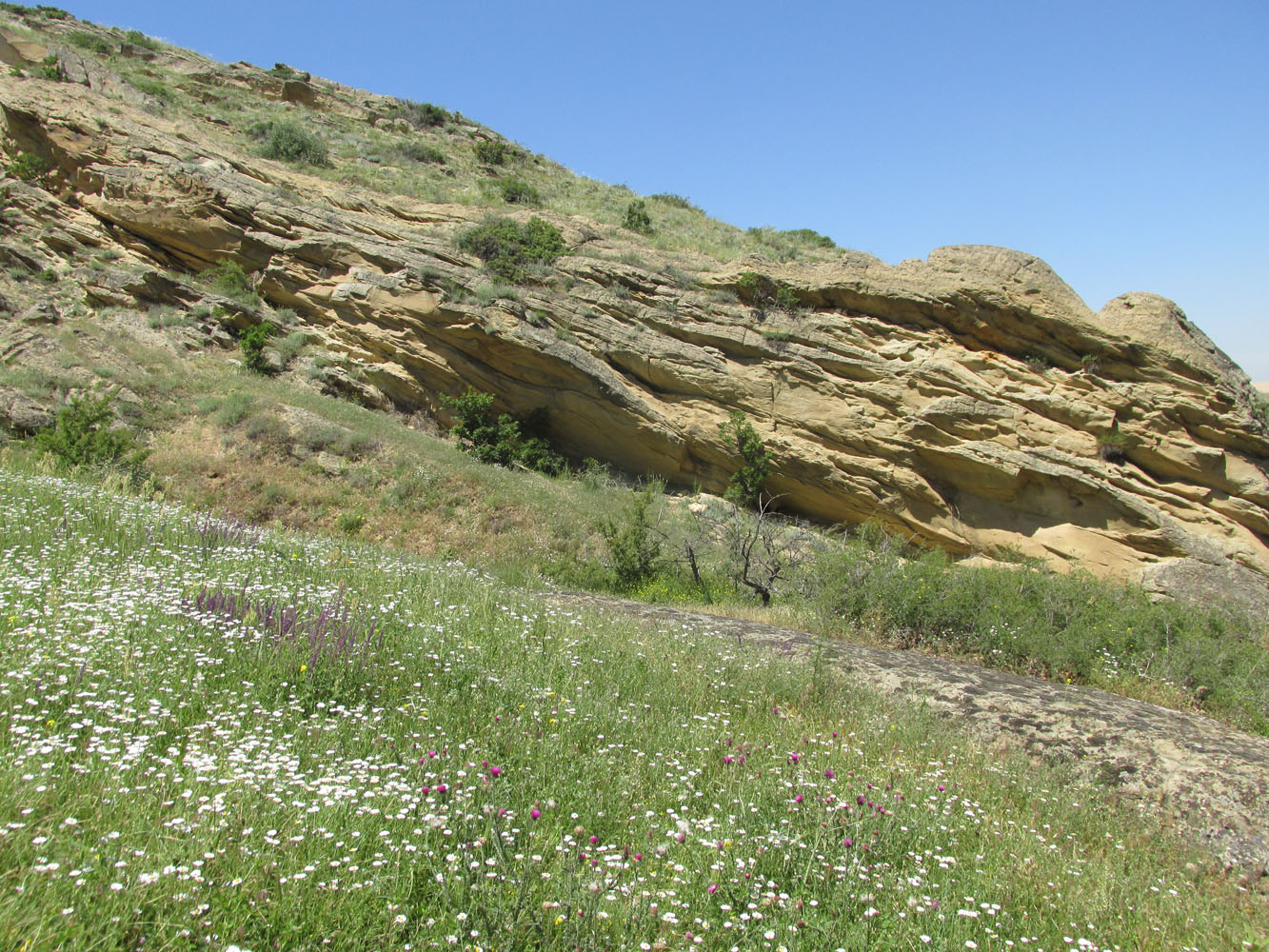 Хребет Нарат-Тюбе, image of landscape/habitat.