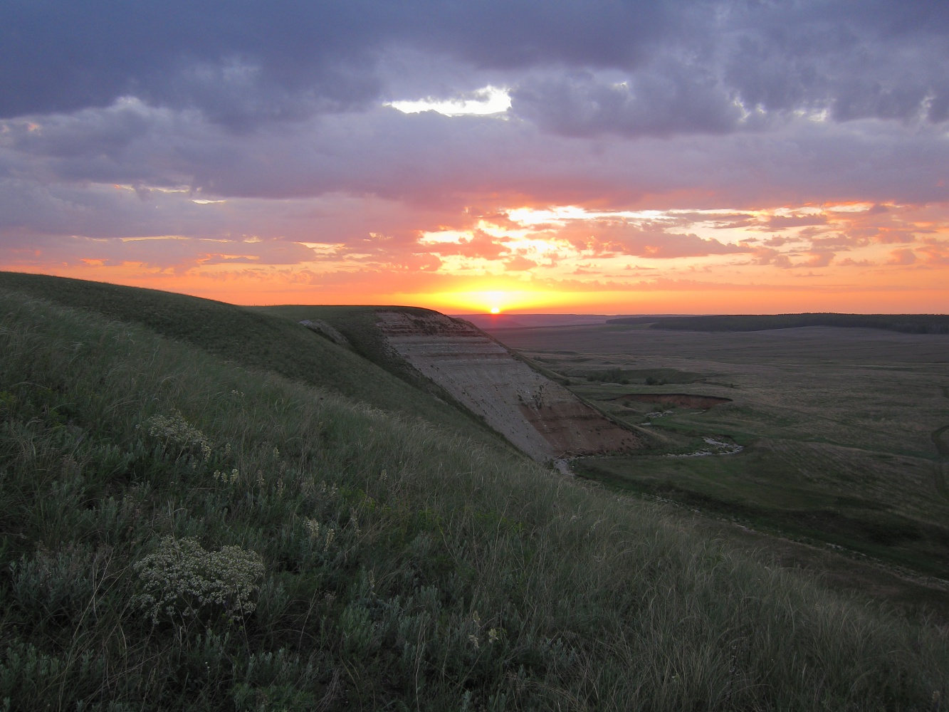 Салиховская гора, image of landscape/habitat.